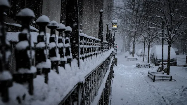 a snowy night in a park with benches and a lamp post