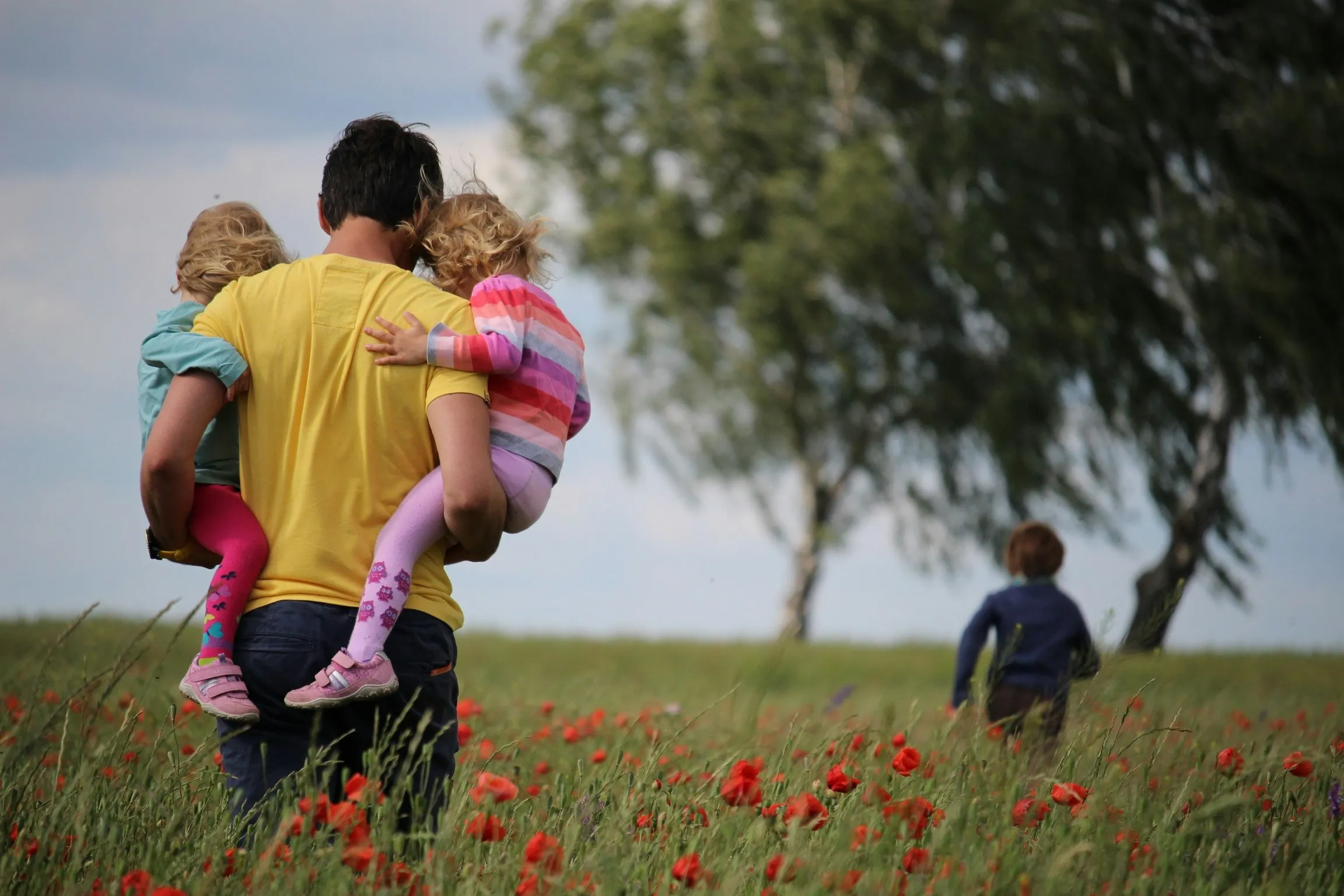 man carrying two girls on field of red petaled flower