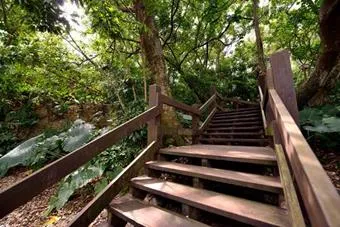 小觀音山生態步道 Little Guanyinshan Ecological Trail